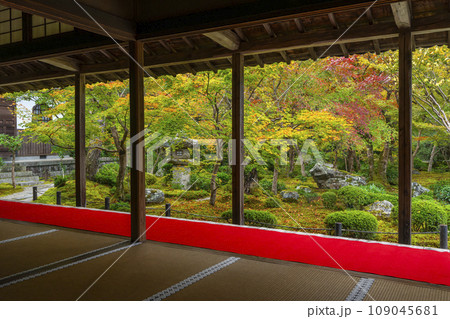圓光寺　書院から眺める紅葉の十牛之庭 109045681