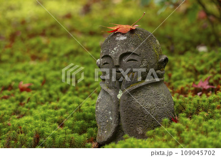 京都　圓光寺　頭にモミジの葉を乗せたわらべ地蔵 109045702