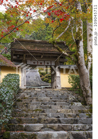 秋の寂光院　紅葉に包まれた山門と石段の参道（京都府京都市左京区大原） 109045711