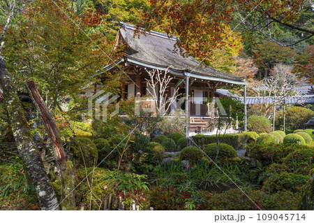 秋の寂光院 紅葉に包まれた本堂(京都府京都市左京区大原) 秋の寂光院 紅葉に包まれた本堂(京都府京都市左京区大原) 109045714