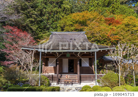 秋の寂光院 紅葉に包まれた本堂(京都府京都市左京区大原) 秋の寂光院 紅葉に包まれた本堂(京都府京都市左京区大原) 109045715