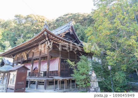 繁多寺の本堂(愛媛県松山市) 繁多寺の本堂(愛媛県松山市) 109045949
