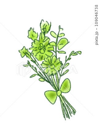 かわいいドライフラワーのイラスト かわいいドライフラワーのイラスト 109046738