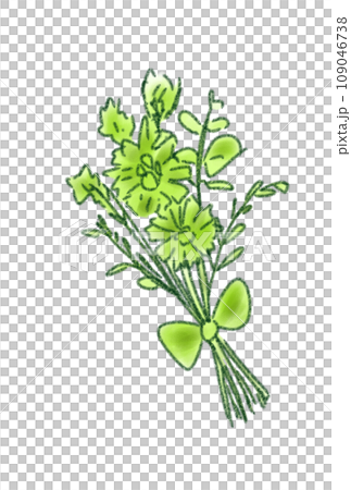 可愛的乾燥花插畫 可愛的乾燥花插畫 109046738