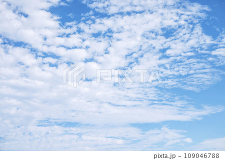 冬の空 青空 イメージ 【神奈川県 藤沢市】 109046788