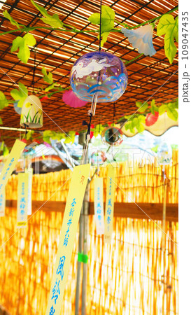 2023年西新井大師(東京都足立区)風鈴祭りの風景 2023年西新井大師(東京都足立区)風鈴祭りの風景 109047435