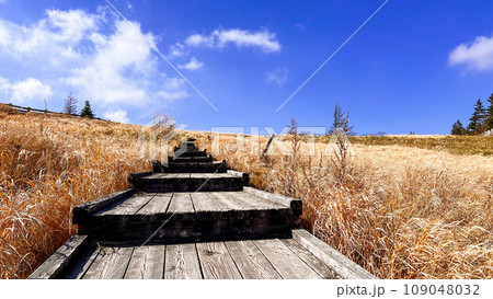 木道と青空 109048032