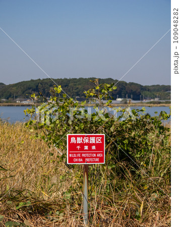 千葉県指定・鳥獣保護区の標識（手賀沼） 109048282