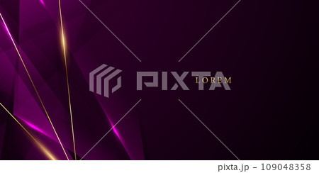 purple abstract background with luxury elements vector illustration 109048358