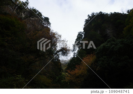 檜原村の神戸岩 檜原村の神戸岩 109048741