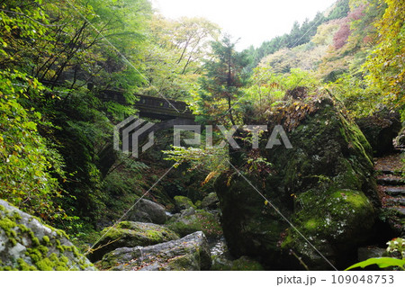 檜原村の神戸岩の、渓谷沿いの遊歩道から見た戸岩橋 109048753
