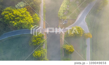 Sun-Kissed Crossroads in Misty Grove Sun-Kissed Crossroads in Misty Grove 109049658