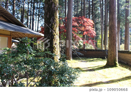 鹿沼市 古峯神社 鹿沼市 古峯神社 109050668