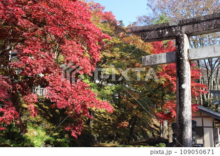 鹿沼市 古峯神社 鹿沼市 古峯神社 109050671