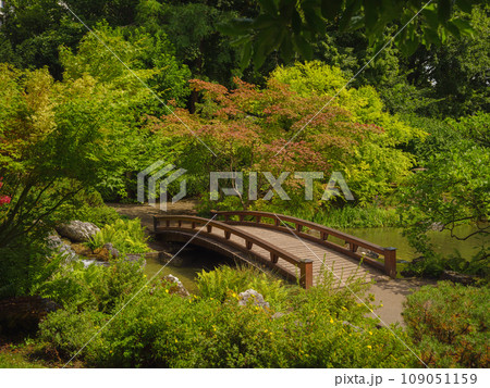 Japanese park in Vienna on a summer day. Zetagaya Park is small, quiet Japanese garden with cherry trees and fish pond, open to public from April to October. 109051159