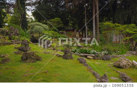 Japanese garden in Vienna (inside Botanical garden): Japanese maple, topiary small pine trees, stepping stones, moss, small stream among trees Japanese garden in Vienna (inside Botanical garden): Japanese maple, topiary small pine trees, stepping stones, moss, small stream among trees 109051338