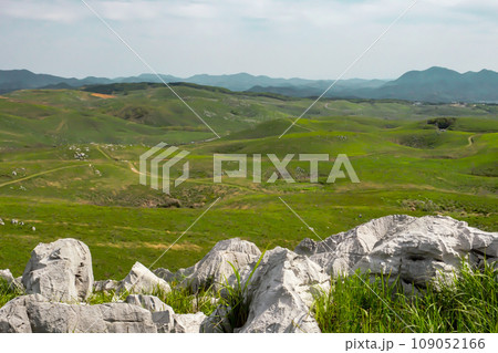 風景写真 109052166