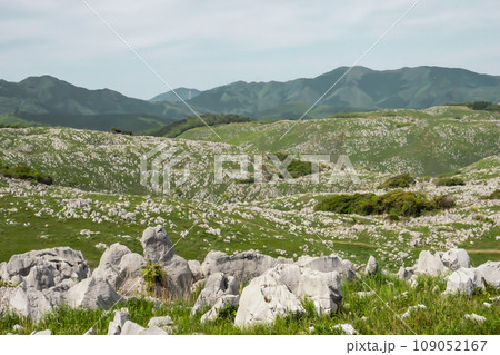 風景写真 109052167
