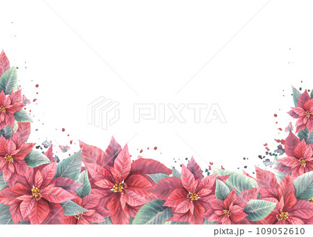 Watercolor painted banner, frame from red Poinsettia, Pulcherrima flowers, leaves with aquarelle splashes Plant for Christmas or New Year card, winter holiday celebrate print Isolated white background Watercolor painted banner, frame from red Poinsettia, Pulcherrima flowers, leaves with aquarelle splashes Plant for Christmas or New Year card, winter holiday celebrate print Isolated white background 109052610
