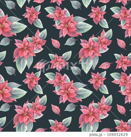 Watercolor painted illustration of red poinsettia, pulcherrima flowers, leaves seamless pattern. Traditional plant for Christmas or New Year decor, gift wrapping, cover art. Isolated, dark background 109052629