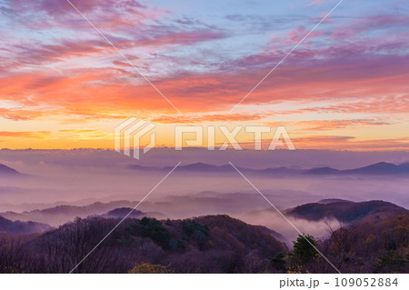 蒜山の雲海 蒜山の雲海 109052884