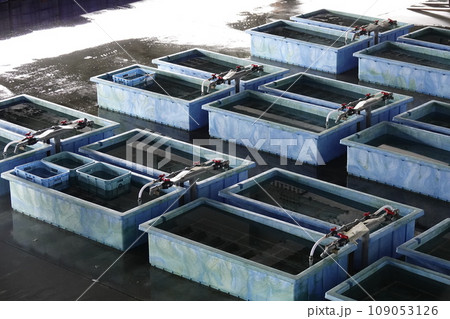 静まり返った魚市場のコンテナボックス 静まり返った魚市場のコンテナボックス 109053126