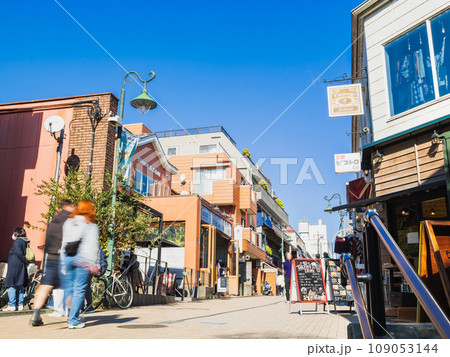 吉祥寺　井の頭公園に続く七井橋通り 109053144