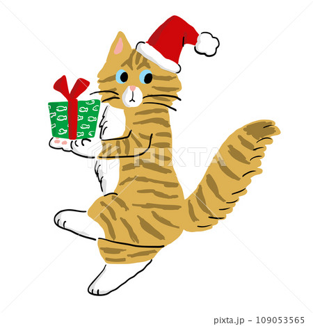 クリスマスプレゼントを前足で運ぶねこ 109053565