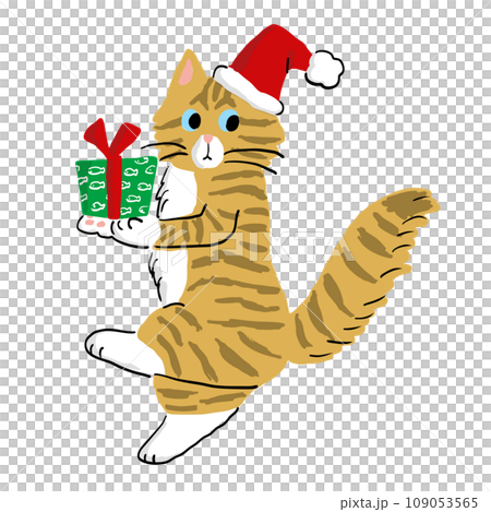 A cat carrying a Christmas present with its paws 109053565