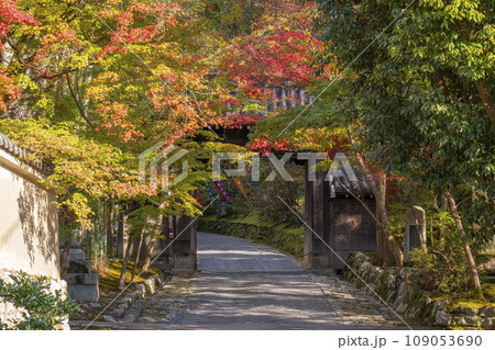 京都 秋の赤山禅院 紅葉に包まれた山門 京都 秋の赤山禅院 紅葉に包まれた山門 109053690