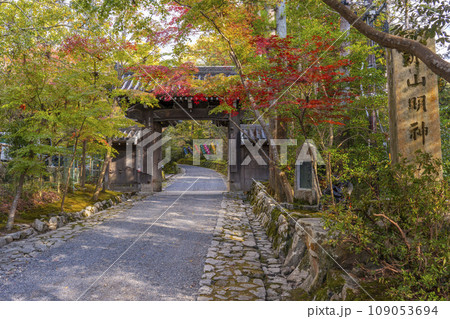京都　秋の赤山禅院　紅葉に包まれた山門 109053694