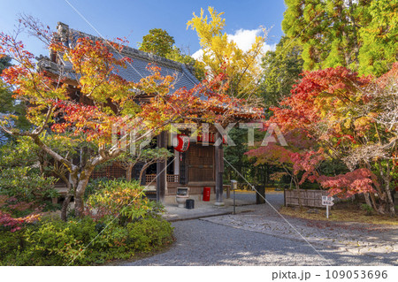 京都　秋の赤山禅院　紅葉に包まれた本地堂（地蔵堂） 109053696