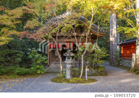 京都　秋の赤山禅院　紅葉に包まれた弁財天堂 109053720