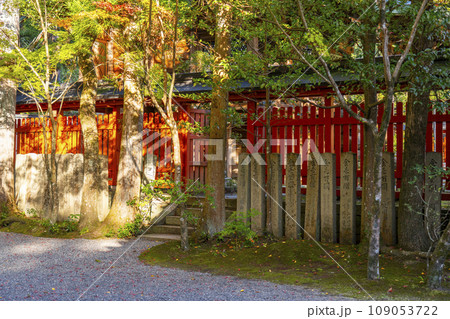 京都 秋の赤山禅院 本殿の玉垣 京都 秋の赤山禅院 本殿の玉垣 109053722