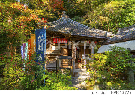 京都　秋の赤山禅院　都七福神の一つ福禄寿殿 109053725