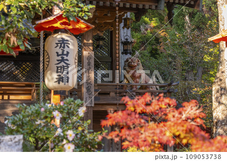 京都　秋の赤山禅院　紅葉に包まれた本殿 109053738