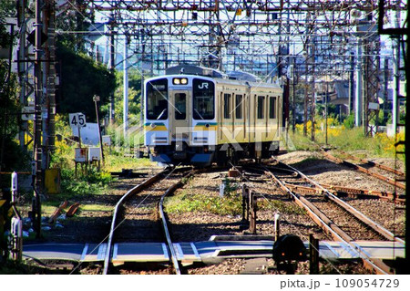 雪国『新潟』から京浜工業地帯『川崎』に転勤してきた… E127系 109054729