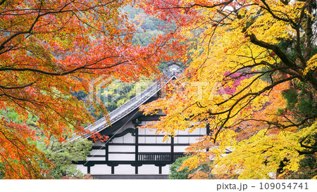 秋の南禅寺 秋の南禅寺 109054741