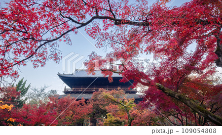 秋の南禅寺 109054808