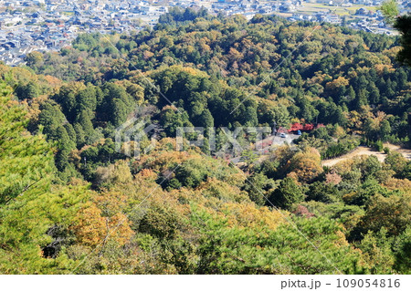 三雲城から見る麓の森の風景 三雲城から見る麓の森の風景 109054816