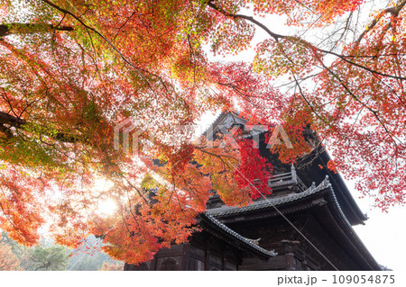 秋の南禅寺 109054875