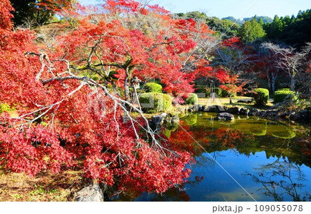 西渓公園の紅葉 109055078