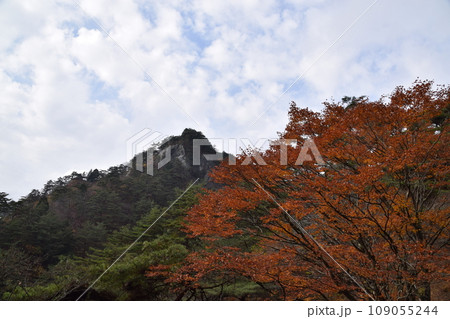 矢祭山 矢祭山 109055244