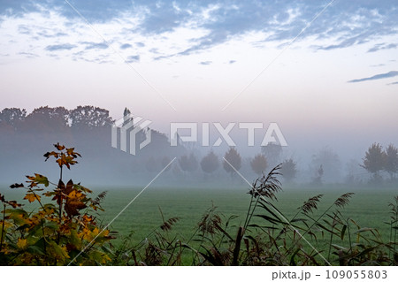 Mystic Dawn in the Meadow Mystic Dawn in the Meadow 109055803