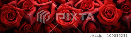 Red roses as a background or bannerのイラスト素材 [109056251] - PIXTA