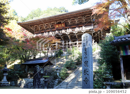 書写山円教寺 紅葉の摩尼殿(兵庫県 姫路市) 書写山円教寺 紅葉の摩尼殿(兵庫県 姫路市) 109056452