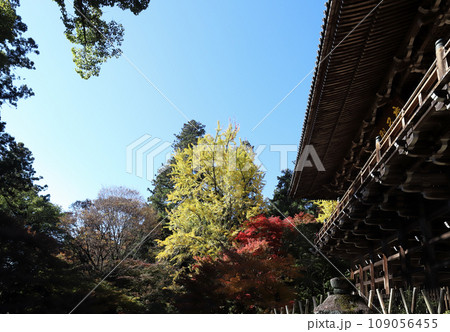 書写山円教寺 紅葉の摩尼殿（兵庫県 姫路市） 109056455