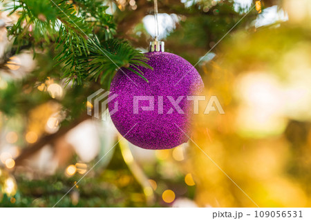 クリスマス・冬 イメージ 109056531