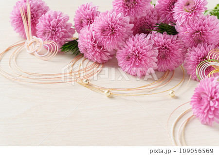 ポンポンマムと水引の和モダンな背景 109056569