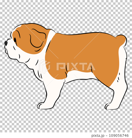 Illustration of a cute sideways bulldog with main lines Illustration of a cute sideways bulldog with main lines 109056746